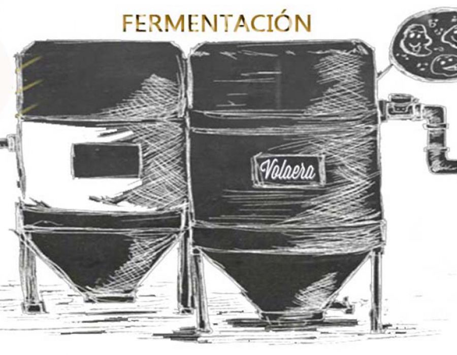 fermentacion